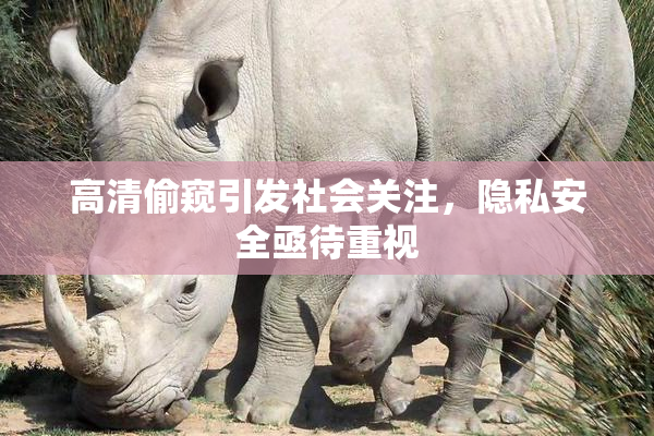 高清偷窥引发社会关注，隐私安全亟待重视