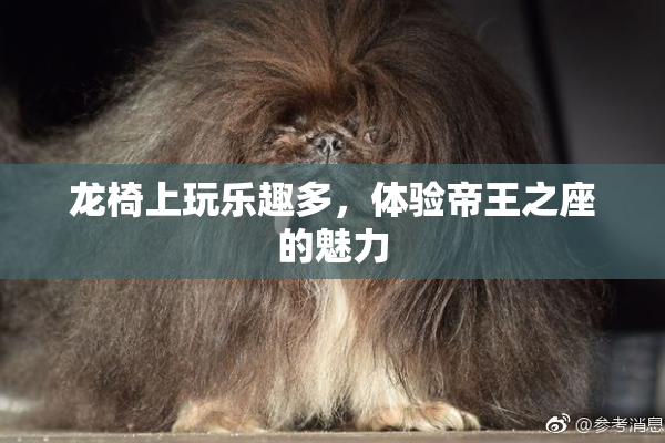 龙椅上玩乐趣多，体验帝王之座的魅力