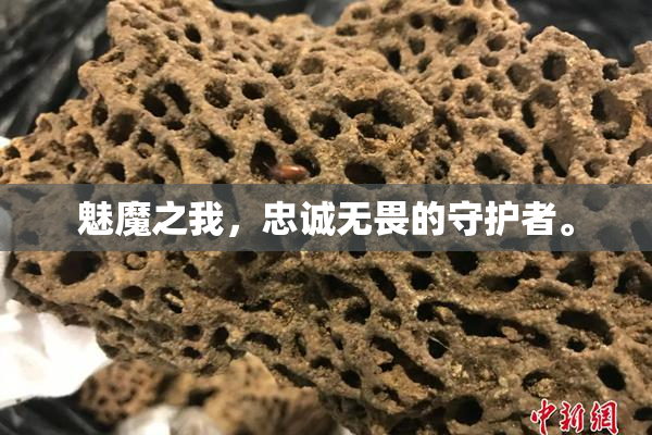 魅魔之我，忠诚无畏的守护者。