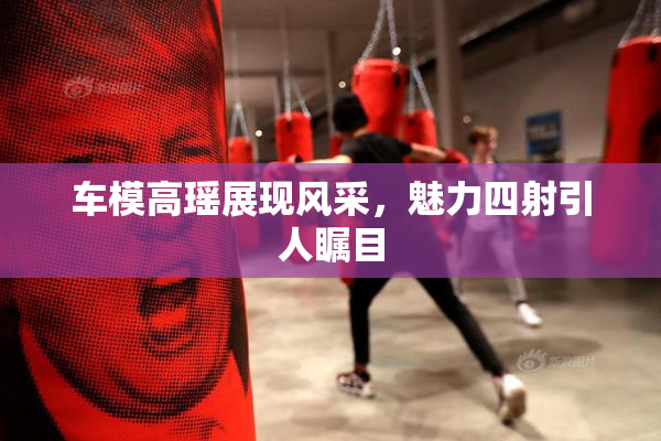 车模高瑶展现风采，魅力四射引人瞩目