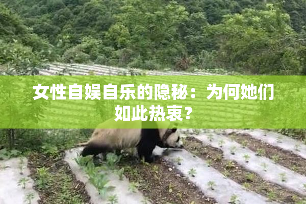 女性自娱自乐的隐秘：为何她们如此热衷？