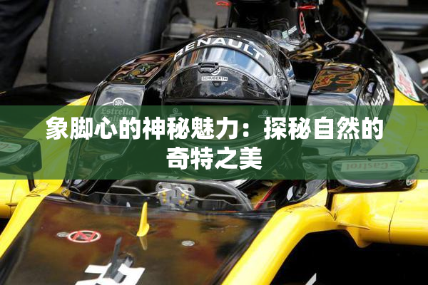 象脚心的神秘魅力：探秘自然的奇特之美