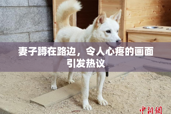 妻子蹲在路边，令人心疼的画面引发热议