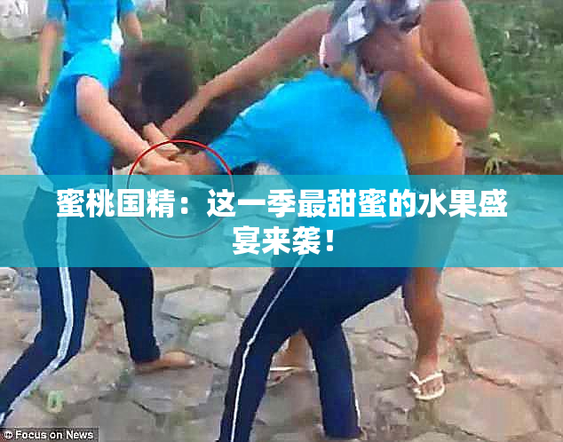 蜜桃国精：这一季最甜蜜的水果盛宴来袭！