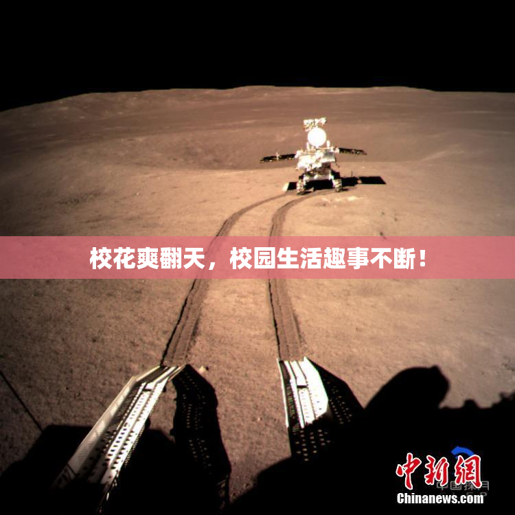 校花爽翻天，校园生活趣事不断！