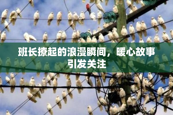 班长撩起的浪漫瞬间，暖心故事引发关注