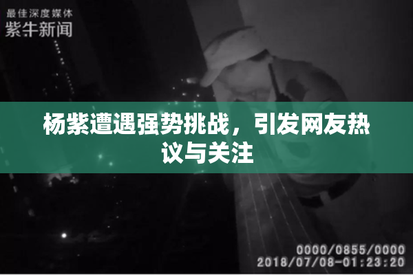 杨紫遭遇强势挑战，引发网友热议与关注
