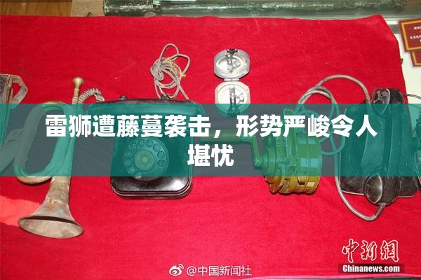 雷狮遭藤蔓袭击，形势严峻令人堪忧