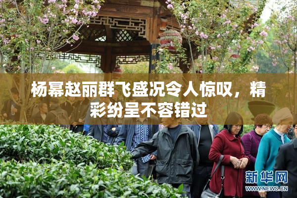杨幂赵丽群飞盛况令人惊叹，精彩纷呈不容错过