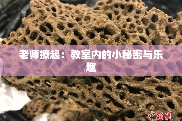 老师撩起：教室内的小秘密与乐趣