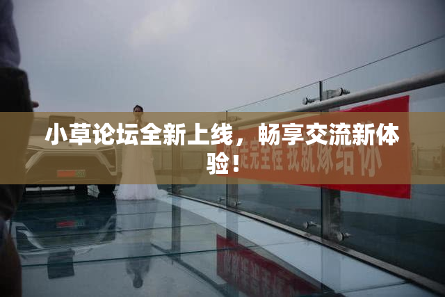 小草论坛全新上线，畅享交流新体验！