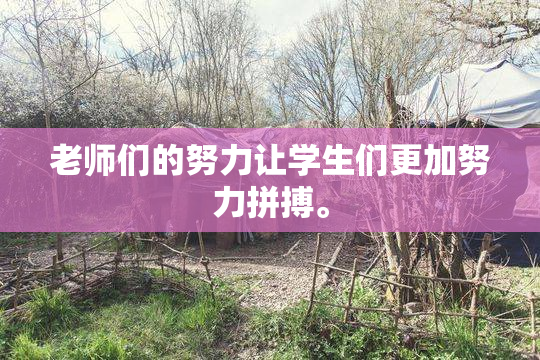 老师们的努力让学生们更加努力拼搏。
