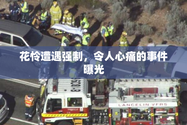 花怜遭遇强制，令人心痛的事件曝光