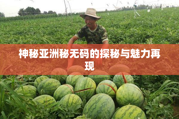 神秘亚洲秘无码的探秘与魅力再现