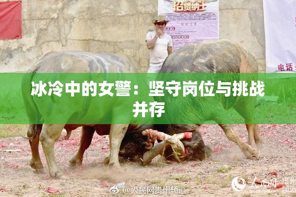 冰冷中的女警：坚守岗位与挑战并存