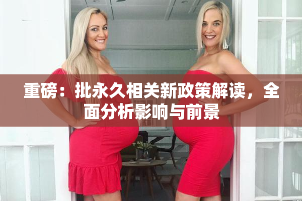 重磅：批永久相关新政策解读，全面分析影响与前景