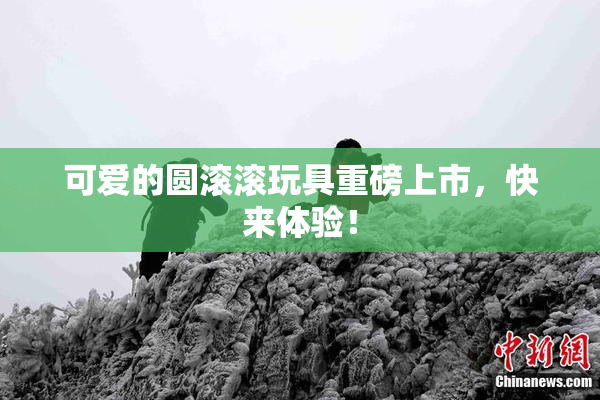 可爱的圆滚滚玩具重磅上市，快来体验！