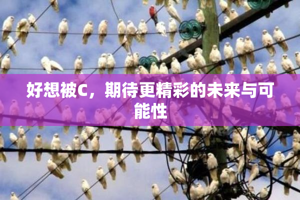 好想被C，期待更精彩的未来与可能性