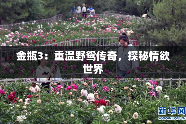 金瓶3：重温野鸳传奇，探秘情欲世界