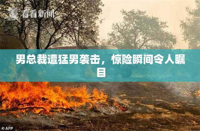男总裁遭猛男袭击，惊险瞬间令人瞩目