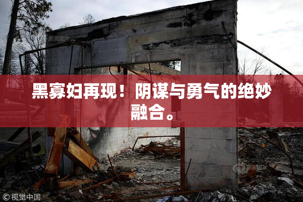 黑寡妇再现！阴谋与勇气的绝妙融合。