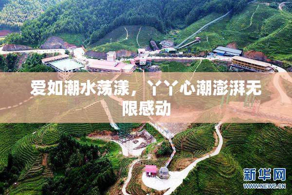 爱如潮水荡漾，丫丫心潮澎湃无限感动