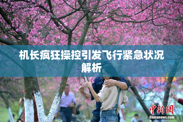 机长疯狂操控引发飞行紧急状况解析