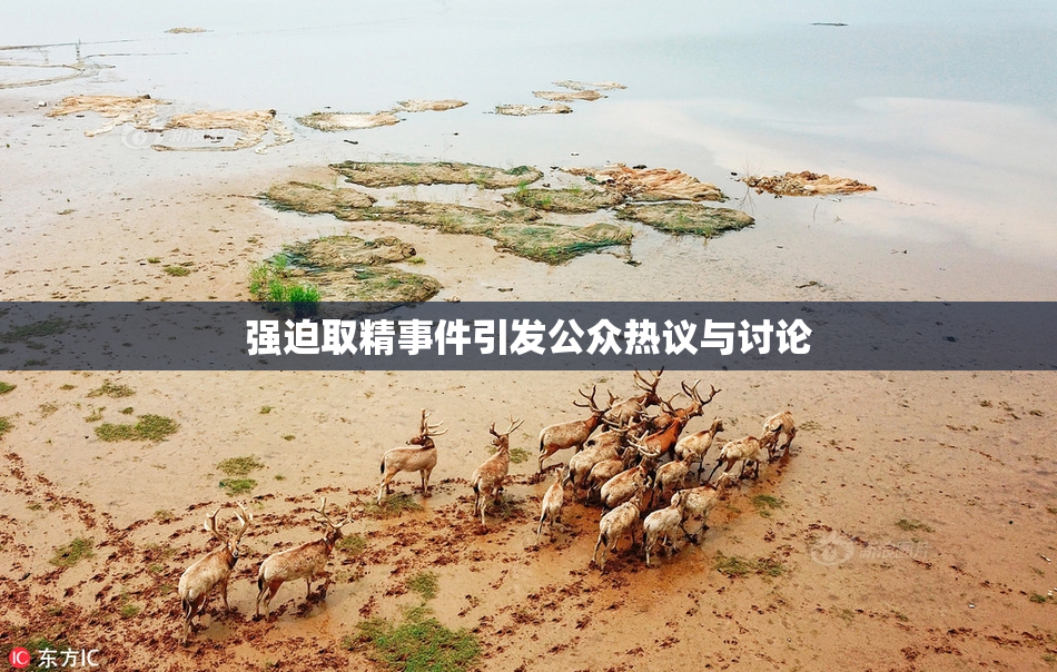 强迫取精事件引发公众热议与讨论