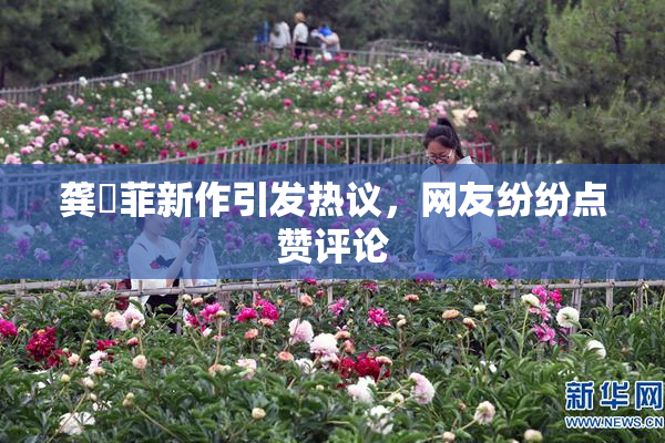 龚玥菲新作引发热议，网友纷纷点赞评论