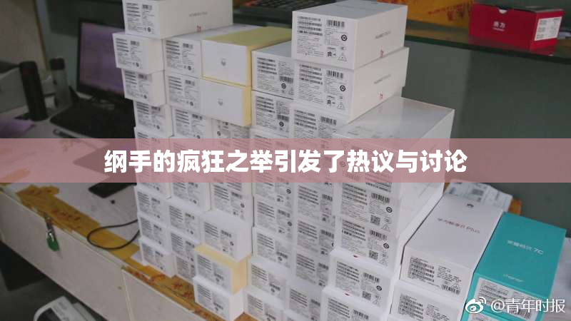 纲手的疯狂之举引发了热议与讨论