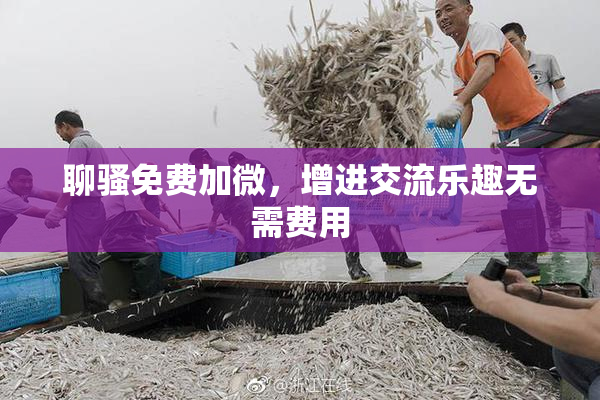 聊骚免费加微，增进交流乐趣无需费用