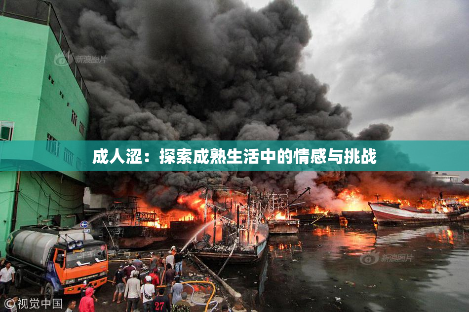 成人涩：探索成熟生活中的情感与挑战