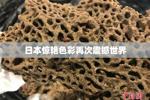 日本惊艳色彩再次震撼世界