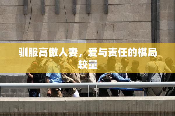 驯服高傲人妻，爱与责任的棋局较量