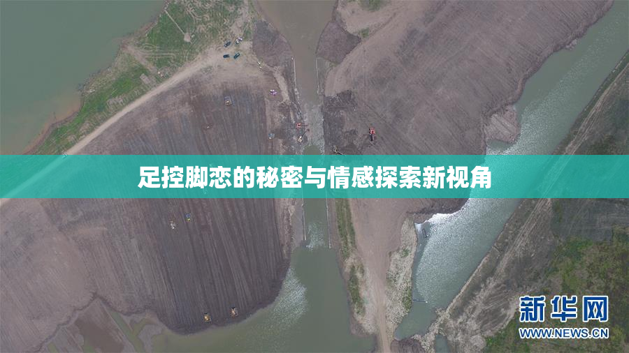 足控脚恋的秘密与情感探索新视角