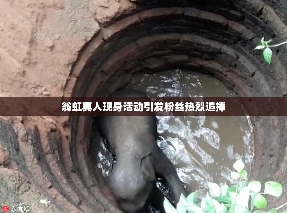 翁虹真人现身活动引发粉丝热烈追捧