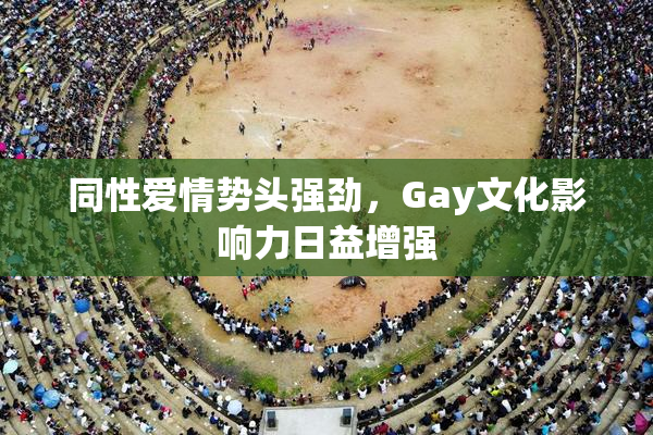 同性爱情势头强劲，Gay文化影响力日益增强