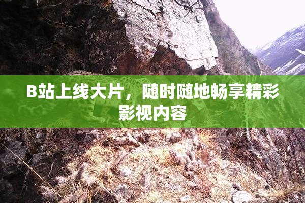 B站上线大片，随时随地畅享精彩影视内容