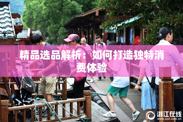 精品选品解析：如何打造独特消费体验