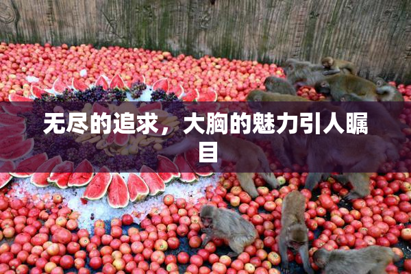 无尽的追求，大胸的魅力引人瞩目