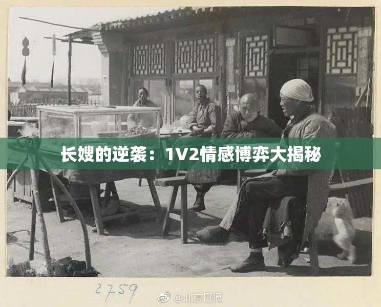 长嫂的逆袭：1V2情感博弈大揭秘