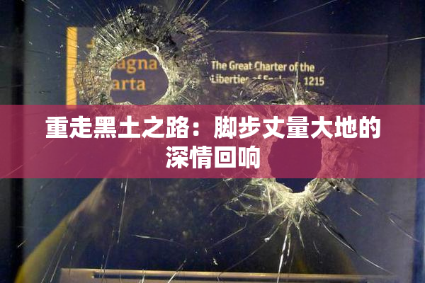 重走黑土之路：脚步丈量大地的深情回响