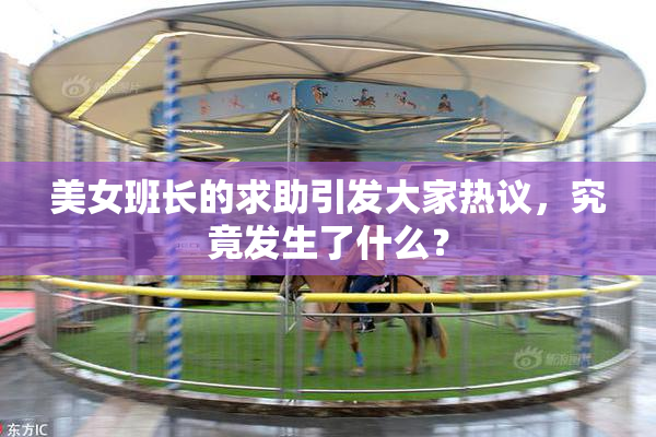 美女班长的求助引发大家热议，究竟发生了什么？