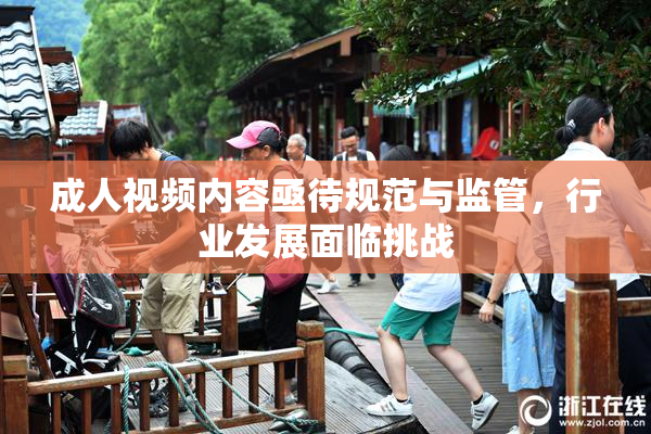 成人视频内容亟待规范与监管，行业发展面临挑战