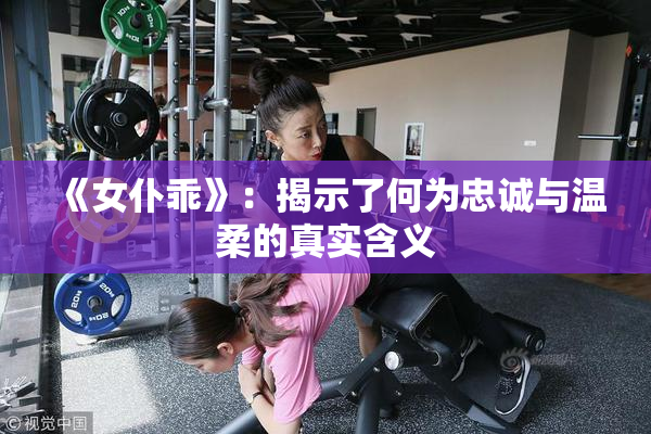 《女仆乖》：揭示了何为忠诚与温柔的真实含义