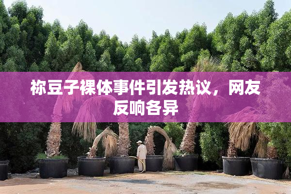 祢豆子裸体事件引发热议，网友反响各异
