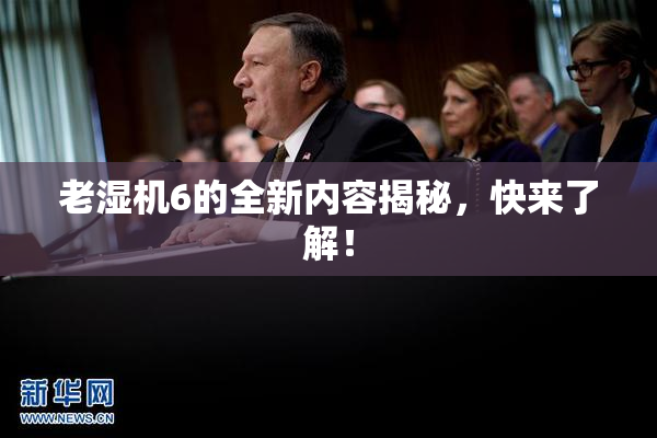 老湿机6的全新内容揭秘，快来了解！