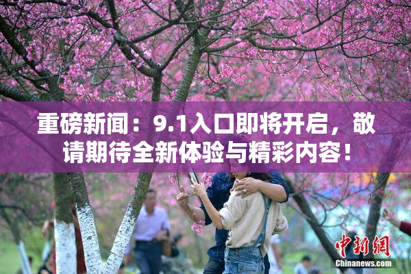 重磅新闻：9.1入口即将开启，敬请期待全新体验与精彩内容！