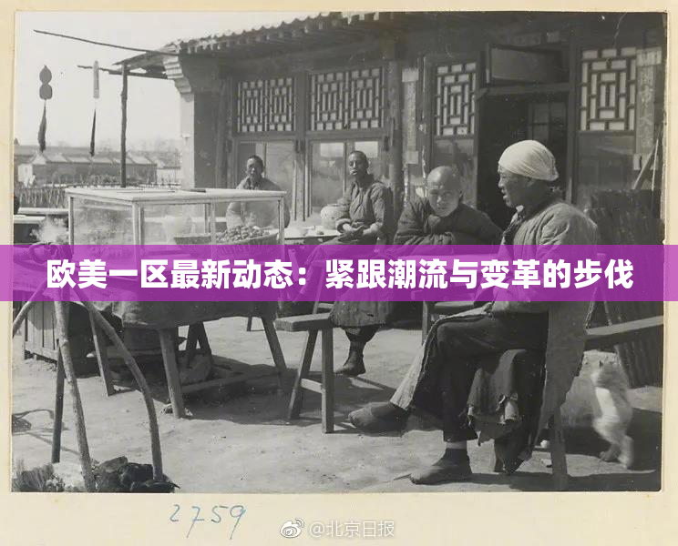 欧美一区最新动态：紧跟潮流与变革的步伐