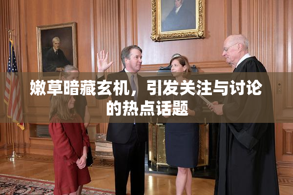 嫩草暗藏玄机，引发关注与讨论的热点话题